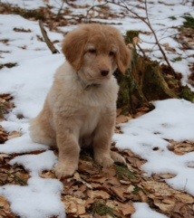 In Hessen ist der Frühling auch noch  nicht angekommen...