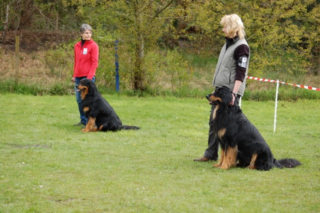  die beiden sm Brüder vom Silberistelswald:links hinten Baki, vorne rechts Bjarny 