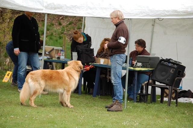 Freundlich und souverän präsentiert er seine Vorzüge am Richtertisch