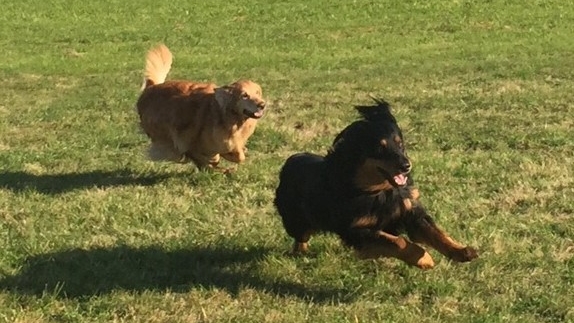 Wenn die Mutter mit dem Sohne