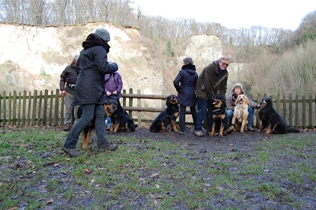 gar nicht so einfach 7 Hunde und 6 Menschen für ein Foto zu sortieren :)