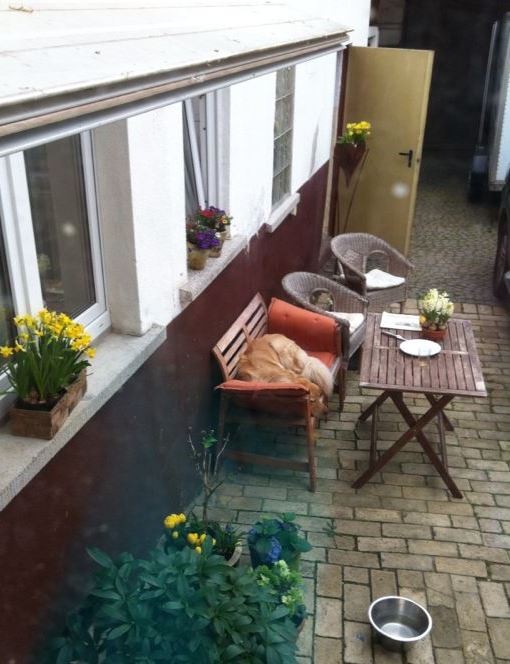 Wer für einen ganzen Hof die Verantwortung trägt, braucht auch irgendwann mal sein verdientes Nickerchen.