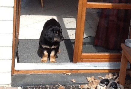 den Garten, den sich Bastian hier aus der Terassentür heraus anschaut, hat er mitlerweile längst gründlich untersucht