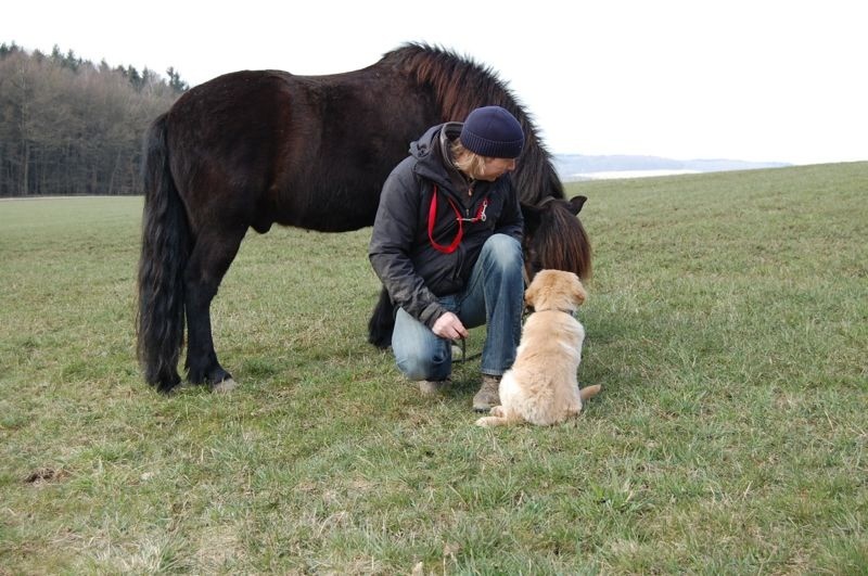 mit dem Booker in nicht allzu weiter Feren Ausreiten wird.