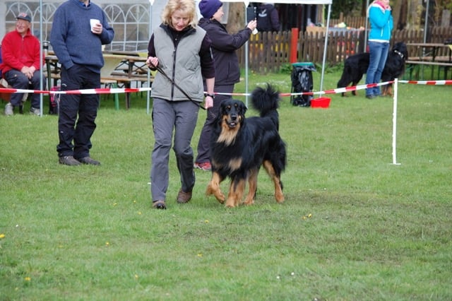 Die vorzügliche Bewertung hat der Schöne zu Recht erhalten!