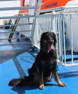 Eine fröhliche Finnin macht sich über Land und Wasser auf den weiten Weg nach Deutschland