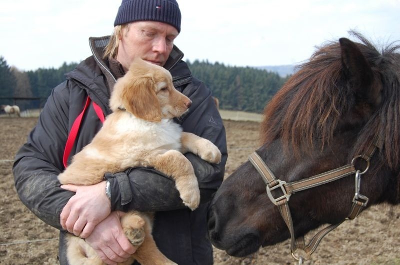 und einem dunklen Pferd...