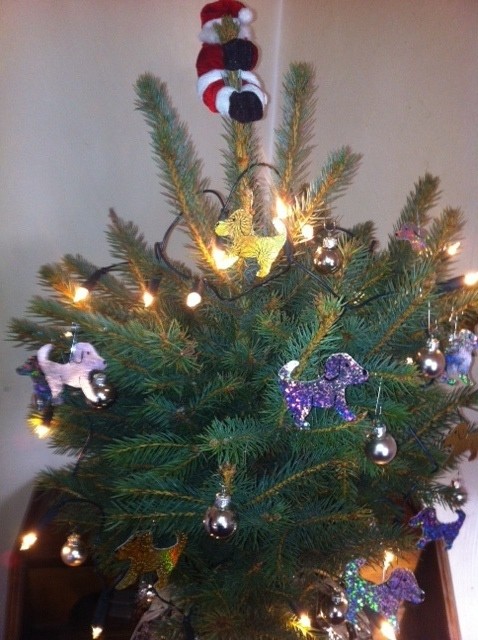 Mag sein, dass wir zur Zeit ein bisschen einseitig fixiert sind, unser Weihnachtsbäumchen 2012...