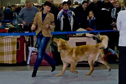 Showtime in Moskau, 19.10.2013