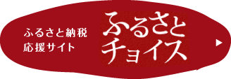 雲南市ふるさと納税サイト「ふるさとチョイス」