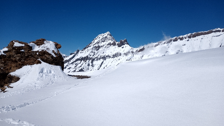 Millärstein mit Rinderhorn