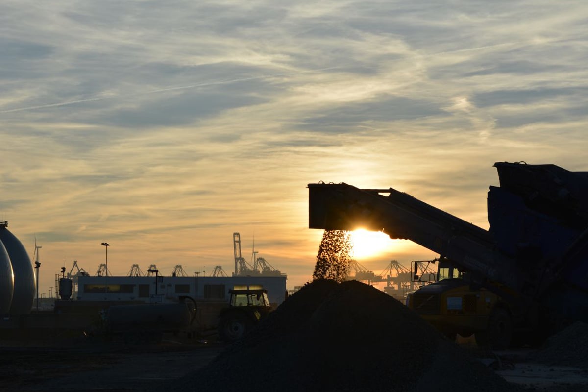 Tollerort - Bodenmanagement