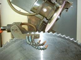 Affûtage scie circulaire