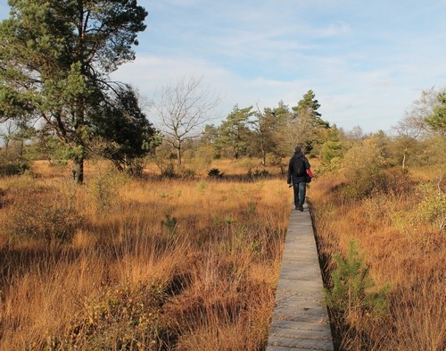 Herbststimmung im Hohen Venn