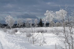 Winter im Hohen Venn Winterwonderland