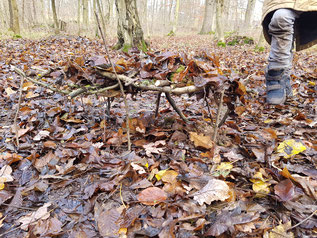 Foto: Landart im Wald, W. Rathgeb