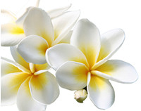 気分転換やリラクゼーションにも