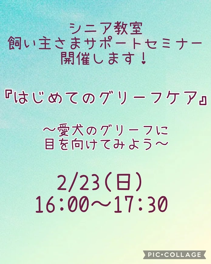 シニア教室　飼い主さまサポートセミナー開催します