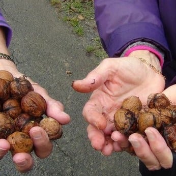 Etape 10 - De Triel à Meulan-Hardricourt