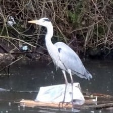 GR2 Etape 6 -De Ris-Orangis à Choisy-le-Roi