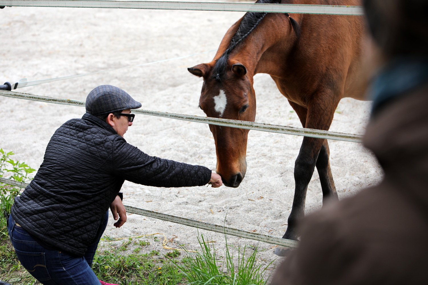 Horse Speak mit Sharon Wilsie