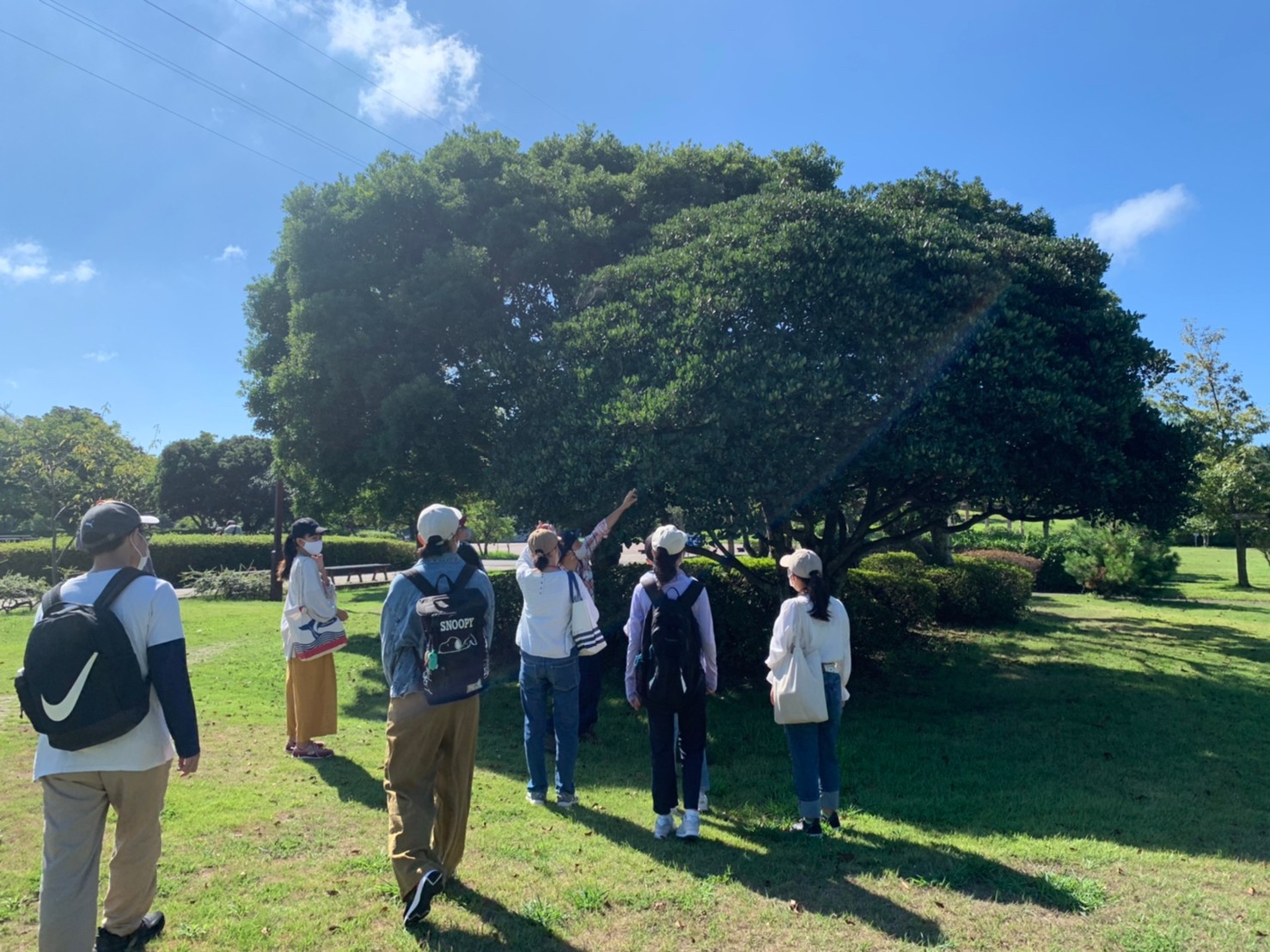 長~い蜘蛛の糸を発見!