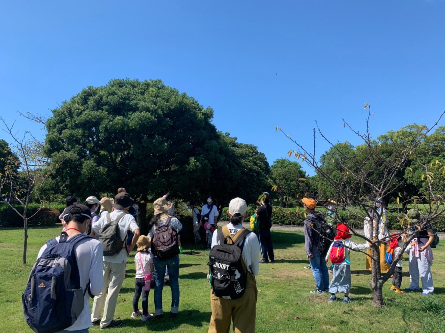 「蜘蛛の糸をどうやってこんなに長くつなげられたんだろう…」