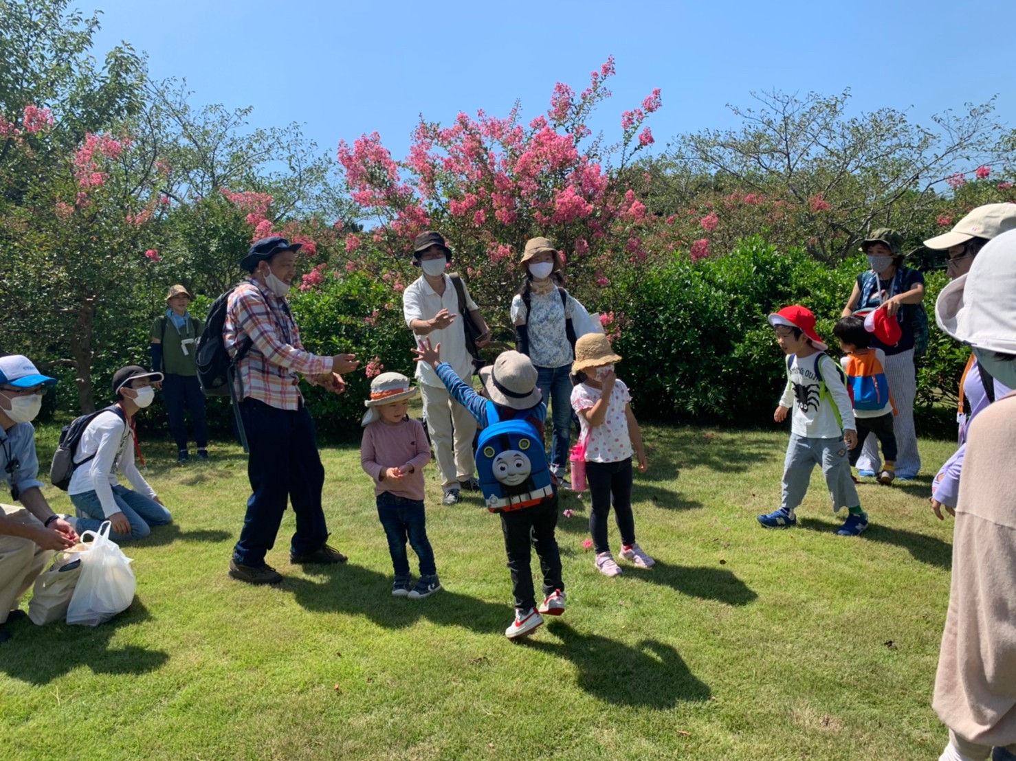 「さるすべりの花がきれいに咲いていたね!」