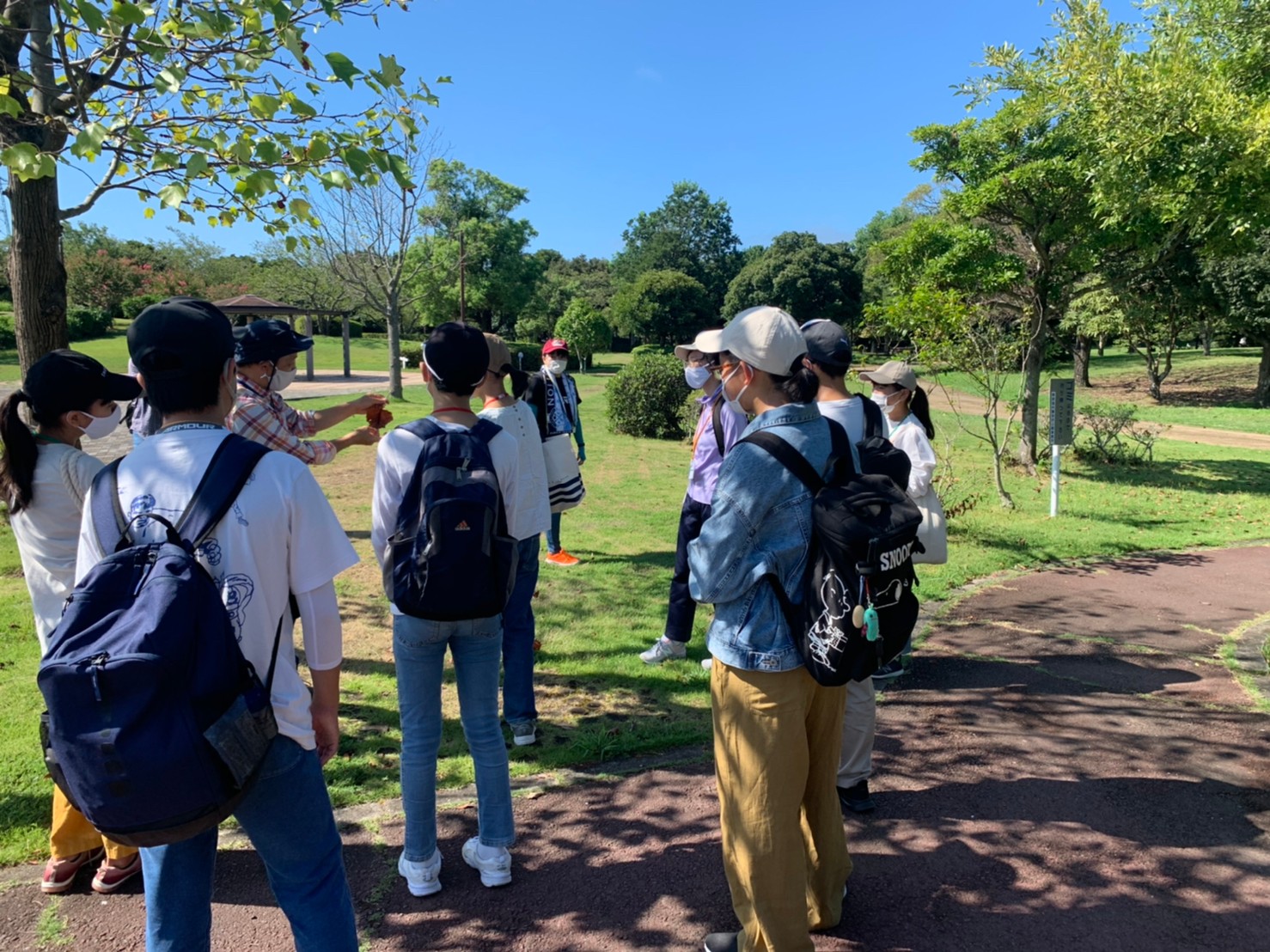 大きな葉っぱが落ちていました