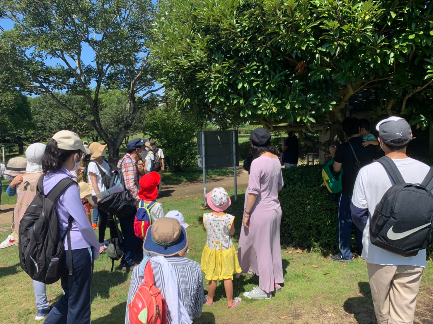 「こんなところにも蜘蛛の巣があるね」