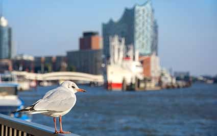 Hamburg Eppendorf Herz- und Gefäßzentrum