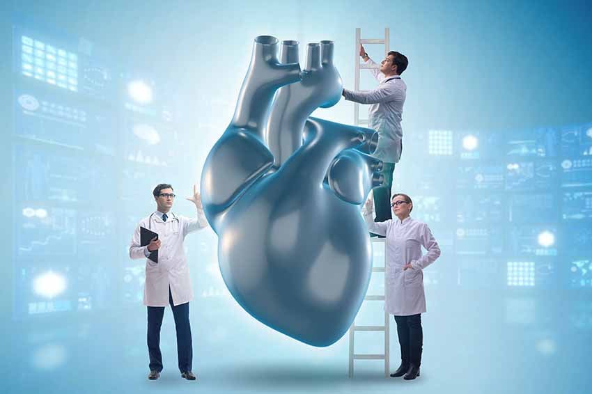 Herzzentren DACH Region