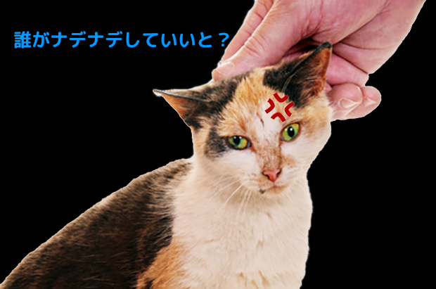 猫ちゃん、さっきまでノドを鳴らして気持ち良さそうにしていたのに、突然引っ掻くなんて、、