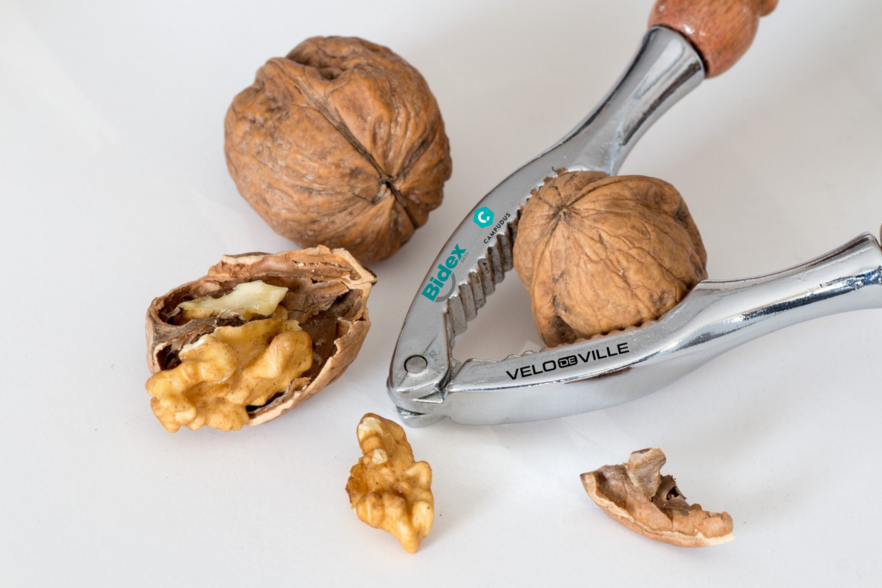 BIDEX & VELO DE VILLE knacken die digitale Milliarden-Nuss