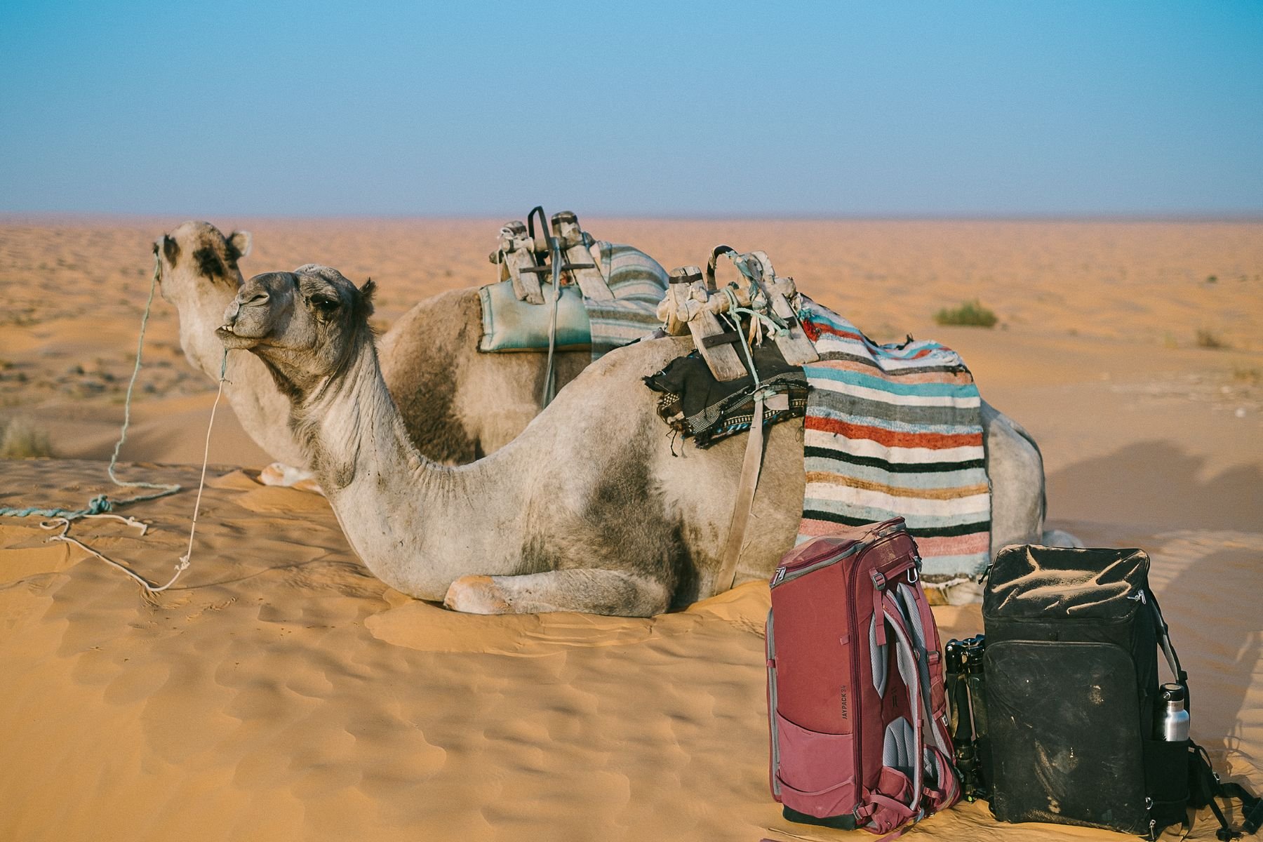 deuters neue Fotorucksackserie - Komfort und Nachhaltigkeit im Fokus