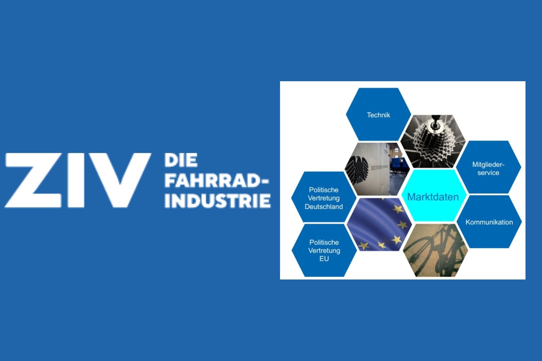 ZIV präsentiert Marktdaten 2023