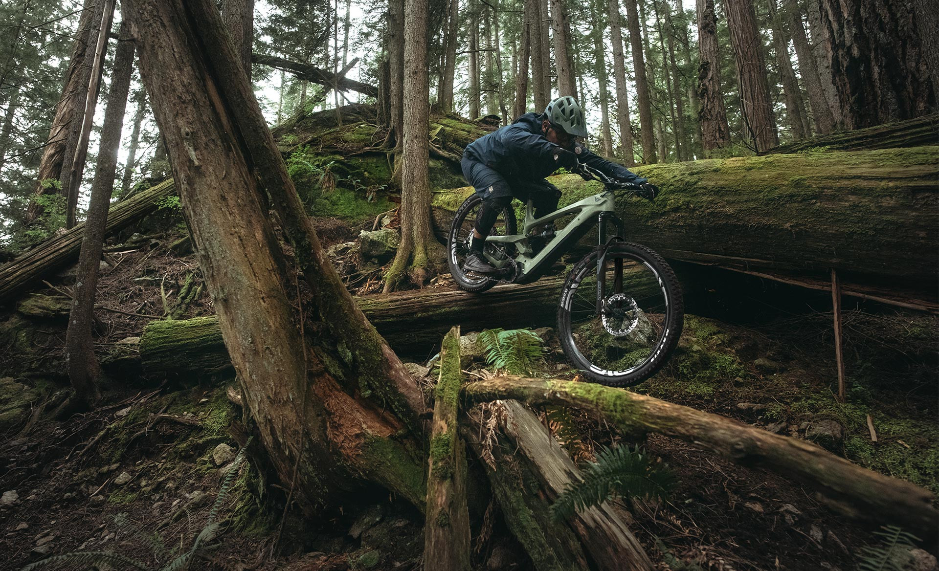 DECOY MX & 29: Live Uncaged mit integriertem Shuttle