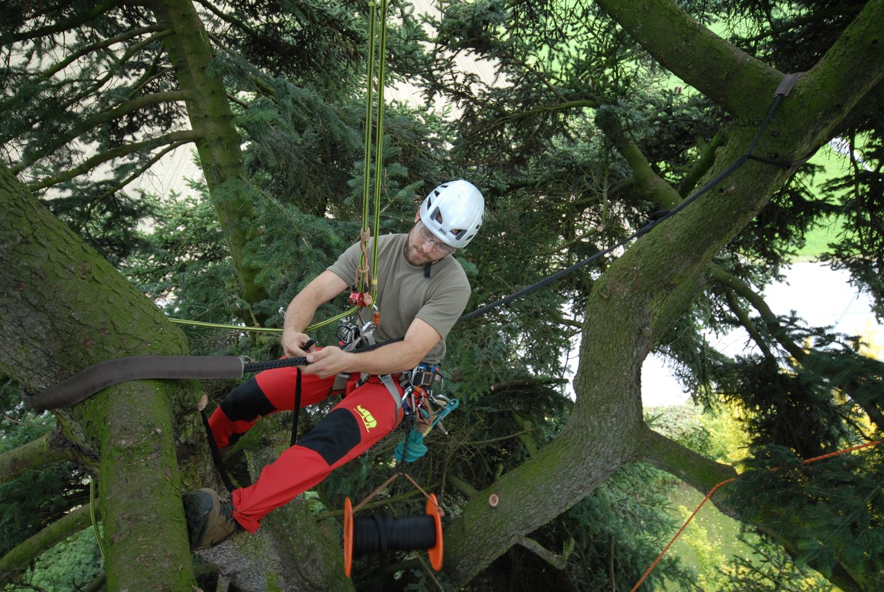 Einbau Kronensicherung