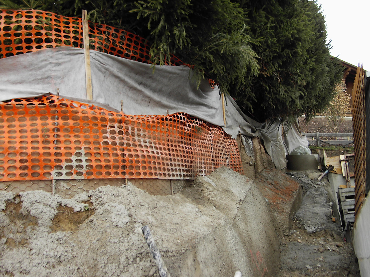 Wurzelvorhang in Funktion