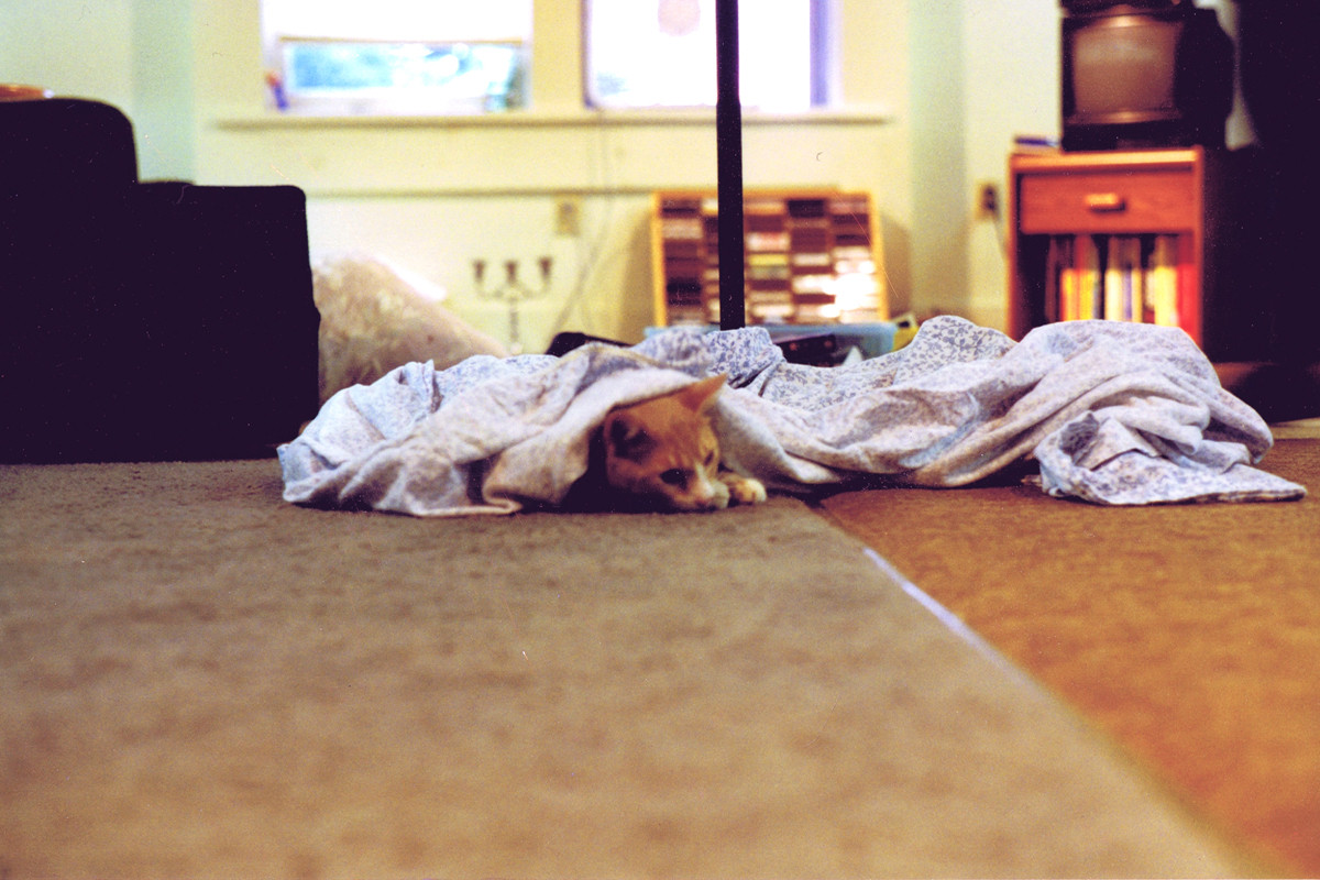 ...which lasted about 90 seconds. 