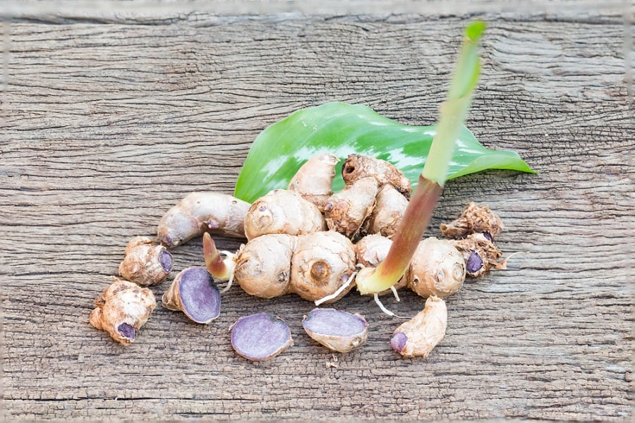 ダイエットにおけるブラックジンジャーの役割