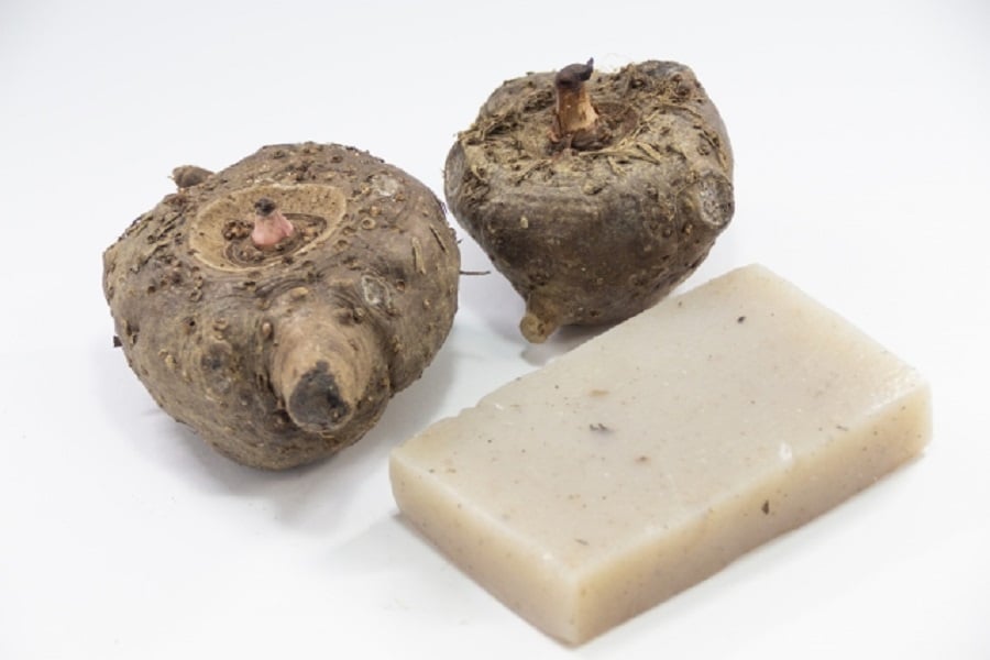 ダイエットにおけるグルコマンナンの役割