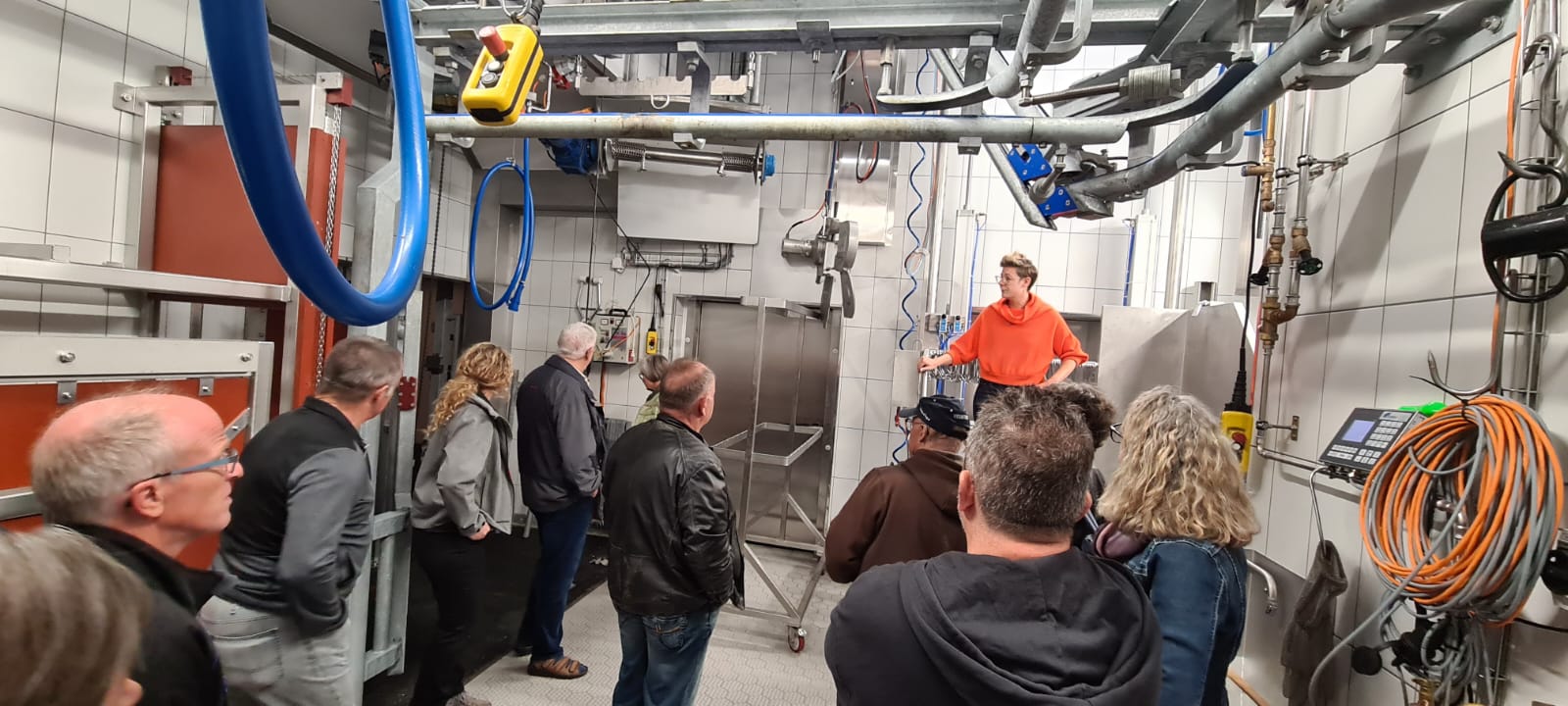 Der Weg wie ihn das Tier geht...