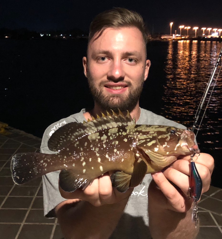 Johannes Höfner | Brauner Zackenbarsch | Mycteroperca marginatus | 26cm | Ionisches Meer | Griechenland | 10. September 2019