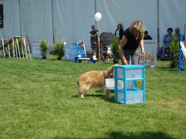 Schublade öffnen u. Spielzeug bringen