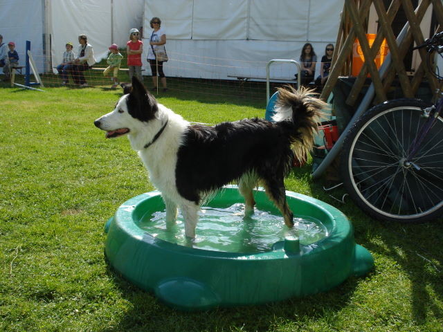 Nasca braucht eine Abkühlung