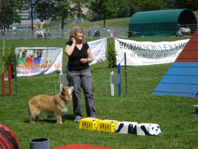 gleich gehts los.....