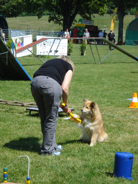 Tuvra gibt Pfötchen auf Rechen