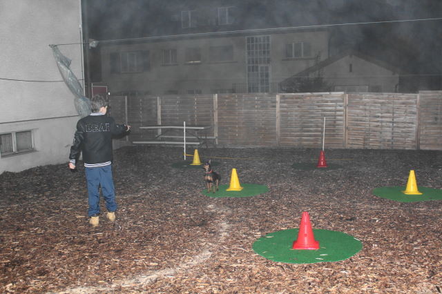 "Hüetlispiel" im Nebel ;-))