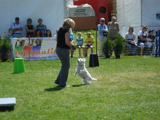 Bobby war voll dabei!